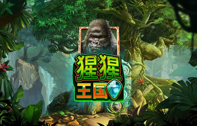 3039体育最新版APP
